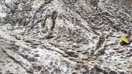 Stones texture and background. Rock texture.