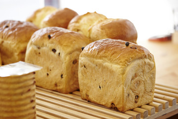 bread 