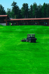 Golf car on a green course field, luxury sport play game lifestyle concept.