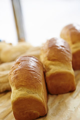 bread 