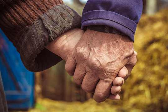 Lovers. Older People Hold Each Other's Hands. Warm Relations. Peasants. The Concept Of Love In The Old Age Between Grandfather And Grandmother.