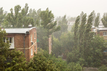Heavy rain, trees, wire and residential house in the village