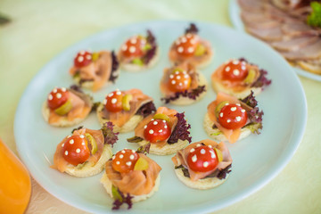 Snack, made from tomatoes, fish and cheese, is beautifully decorated on white plate 