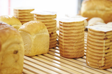 bread 