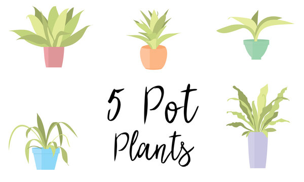 5 Pot Plants with pastel coloured pots