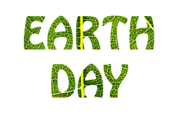 world earth day concept. Fresh and green tree leaf texture as background.