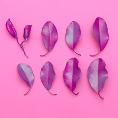  Herbarium art. Pink vibes. Leaves. Minimal art design. Flat lay