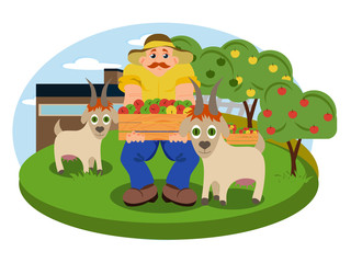 Obraz na płótnie Canvas Vector illustration of the garden with a countryside man showing box of apples and sitting on the bench near the goats