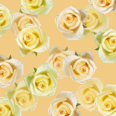 Beautiful floral background of yellow roses 