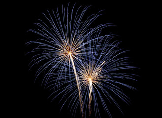 fourth of July Fireworks-blue