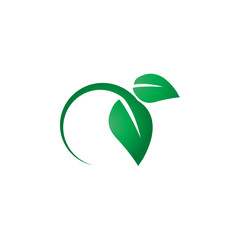 Green leaf logo icon design template vector