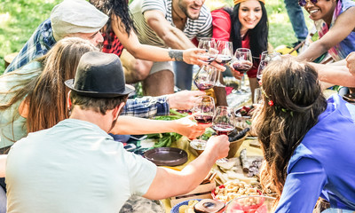 Group of happy friends cheering with red wine at picnic party in nature outdoor