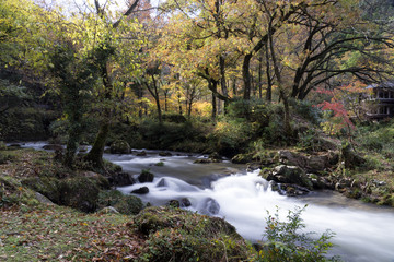 Obraz premium 紅葉の荒俣峡