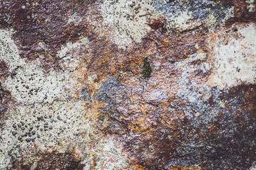 Arrière plan texture pierre