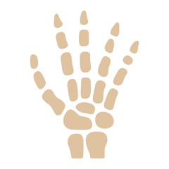 Medizin & Gesundheit Icon - Handknochen