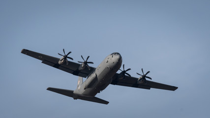 Israeli Paratroopers- Independance Day