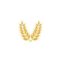 Wheat yellow logo icon template vector