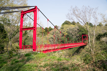 Fototapeta na wymiar 赤い吊り橋