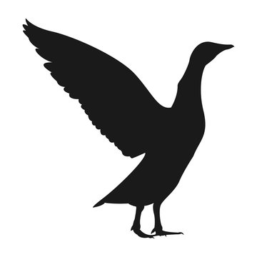 recommend clip art: goose silhouette vector icon.