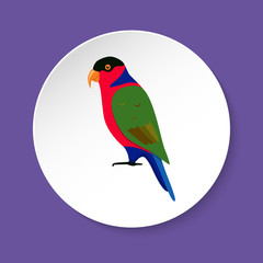 Lory parrot icon in flat style
