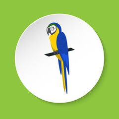 Blue and yellow macaw parrot icon in flat style
