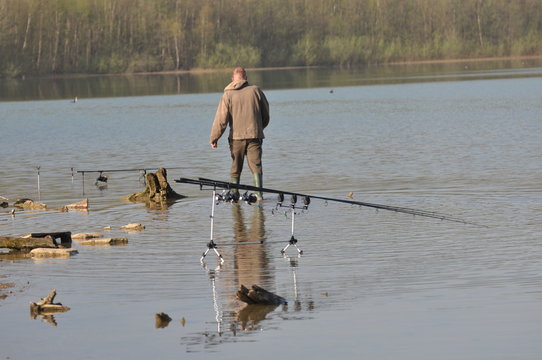 Angeln, den Karpfenfisch fangen und freilassen