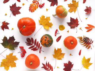 Autumn concept. Pumpkin, autumn leaves, persimmon,radish, chestnuts, red and green apples on a white background. Pattern of fresh vegetables. Top view, flat layout.