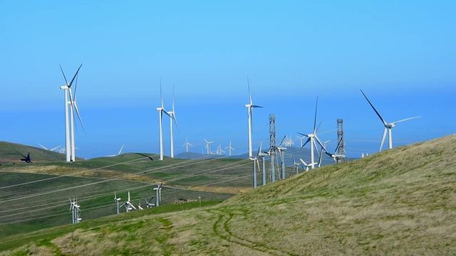 Lazy windmills in the coastal hills in central California. Camera locked.