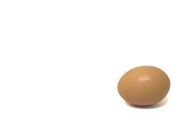 Chicken egg,Egg on white Background. Copy Space