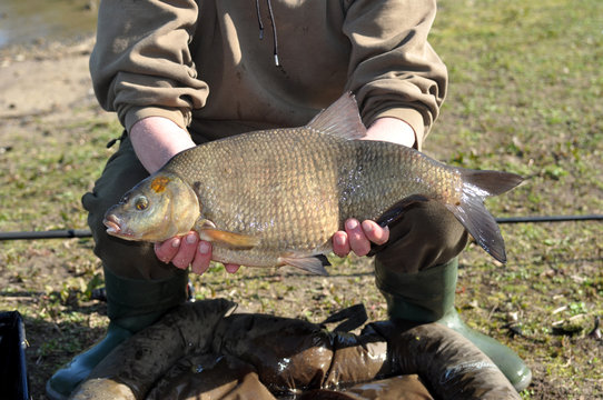 Angler mit Fisch. Beim Angeln, der Karfen ist gefangen und wird fotografiert.
