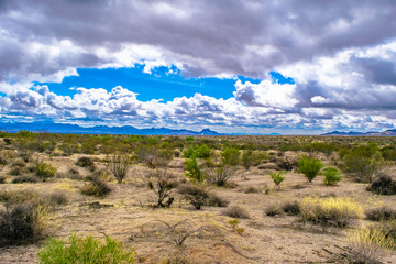 McDowell Wilderness in Arizona Desert