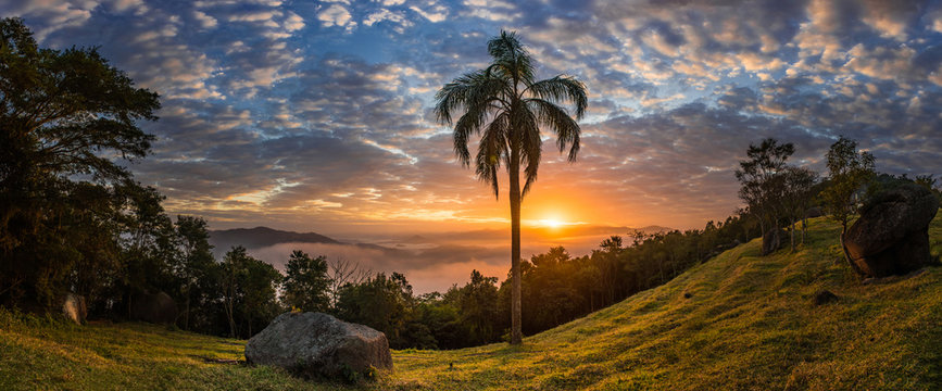 Dawn with silhouetted trees with colorful sky, sun between clouds