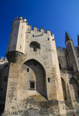 Fototapeta na wymiar Le Palais des Papes, Avignon
