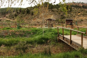 Wooden bridge in the garden