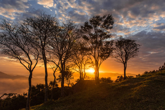 Dawn with silhouetted trees with colorful sky, sun between clouds
