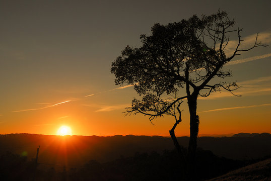 Dawn with silhouetted trees with colorful sky, sun between clouds