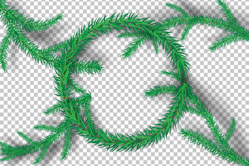 Christmas tree branches on tranparency background.vector