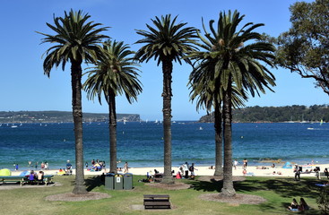 Balmoral beach with palm trees. Entrance of Sydney Harbour with North Head and South Head in the background.