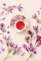 Obraz na płótnie Canvas Spring violet flowers on a white background