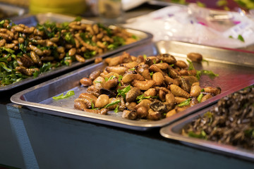 Worms and insects can be used to cook food and nutritious and popularization of some groups in the country