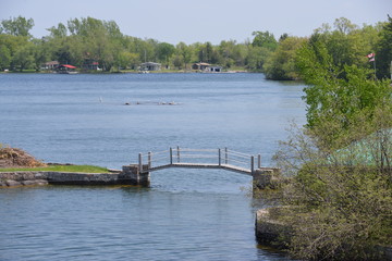 act- 1000 Islands Cruises
