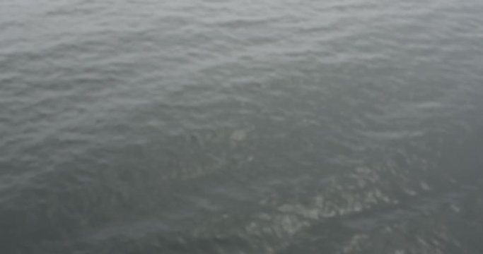Tilt over ocean into eternity Baltic Sea 
