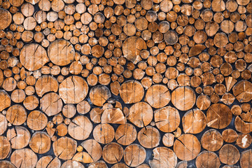 wooden background of felled logs