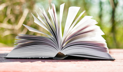 an open book on the natural background, a book and nature, knowledge about nature