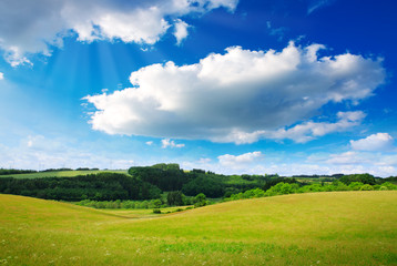 Fototapeta premium White big clouds and green field.
