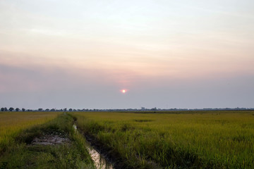 Sunset views amidst a green field and a moat along a meadow.