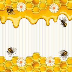 Beautiful background with bees,honey, flowers and honeycomb