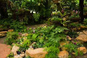 Streaked orchid flowers vintage tone