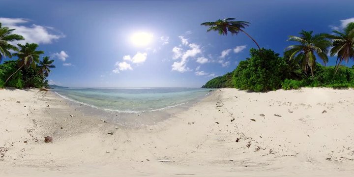 360 VR landscape &ndash; 4K deserted natur beach with palm trees, recorded in 8K
