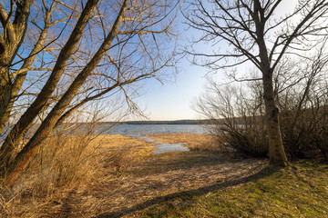 Fototapeta na wymiar Trees on the shore of the lake.